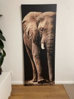 Leinwandbild Elefant, 70 x 175 cm Niedersachsen - Oldenburg Vorschau