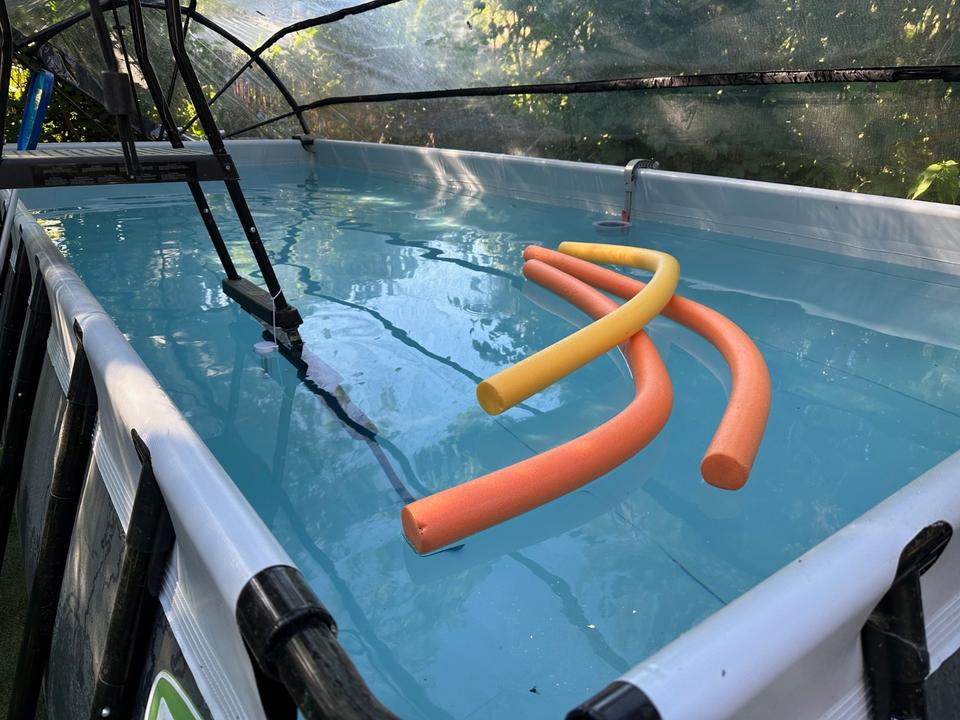 EXIT Pool Schwarz 540x250x122cm mit Pumpe + Abdeckung + Zubehör in Kleinmachnow