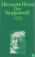 Der Steppenwolf - Hermann Hesse München - Maxvorstadt Vorschau