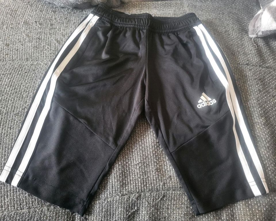 Adidas Shorts Gr. 116 in Bersenbrück