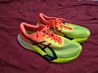 Asics Metaspeed Sky Gr. 42.5 Baden-Württemberg - Villingen-Schwenningen Vorschau