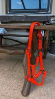 Halfter Neu COB neon orange Bayern - Viereth-Trunstadt Vorschau