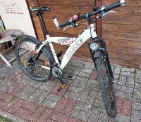 Fahrrad _ Mountainbike RIXE COMP XS 2.6 Rheinland-Pfalz - Eisenberg  Vorschau