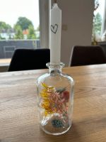 Toller Glas-Kerzenhalter mit Trockenblumen - WIE NEU Nordrhein-Westfalen - Paderborn Vorschau