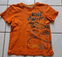 T-Shirt orange 'Wild nature', Gr. 128 Dresden - Blasewitz Vorschau