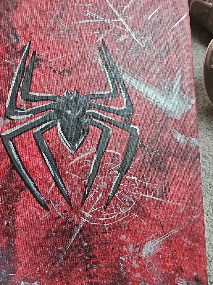 Leinwand  Spiderman Unikat in Stuhr
