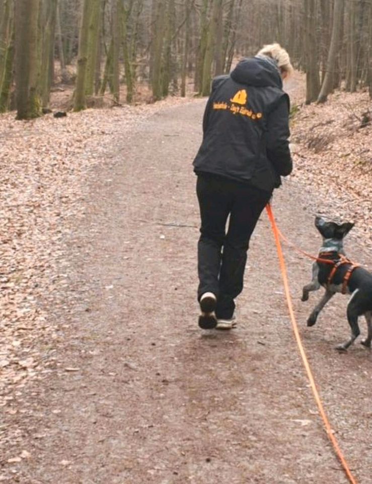 Mobile Hundeschule - Dog's Eldorado in Freiensteinau