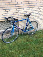 Koga Miyata Gent’s Racer Rennrad 58cm vintage alt retro Wandsbek - Hamburg Tonndorf Vorschau