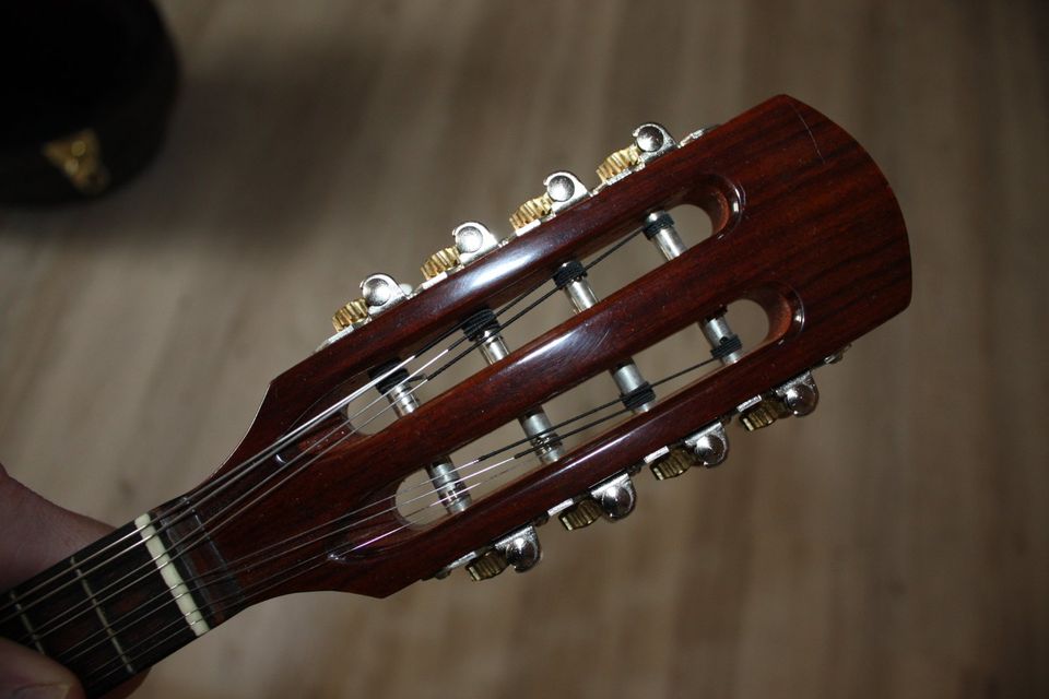 Mandoline (Suzuki M30) in Espelkamp
