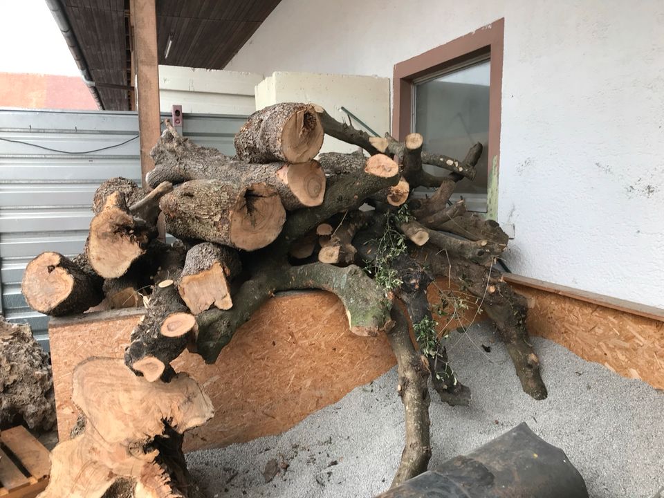 Olivenholz Stämme Holzkunst in Ottobeuren