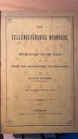 Buch über das Nürnberger Zellengefängnis Bayern - Rohr Mittelfr. Vorschau