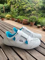 Lacoste Sneaker Größe 37 weiß blau Hessen - Ahnatal Vorschau