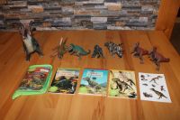 Schleich Dinosaurier 14546, Drache, Echse Güstrow - Landkreis - Teterow Vorschau