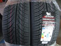 Arivo 4Seasons 225/55 R16 99W XL Allwetterreifen M+S MB E-Klasse Rheinland-Pfalz - Ockenheim Vorschau