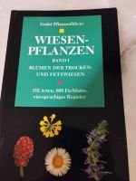Wiesenpflanzen band 1 ,Blumen der Trocken und Fettwiesen Bayern - Weißenburg in Bayern Vorschau