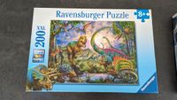 Dino Puzzle 200 XXL Teile von Ravensburger ab 8 Jahren Nordrhein-Westfalen - Heinsberg Vorschau