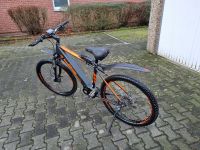 Fischer E-Bike Montis 4.0 Nordrhein-Westfalen - Datteln Vorschau