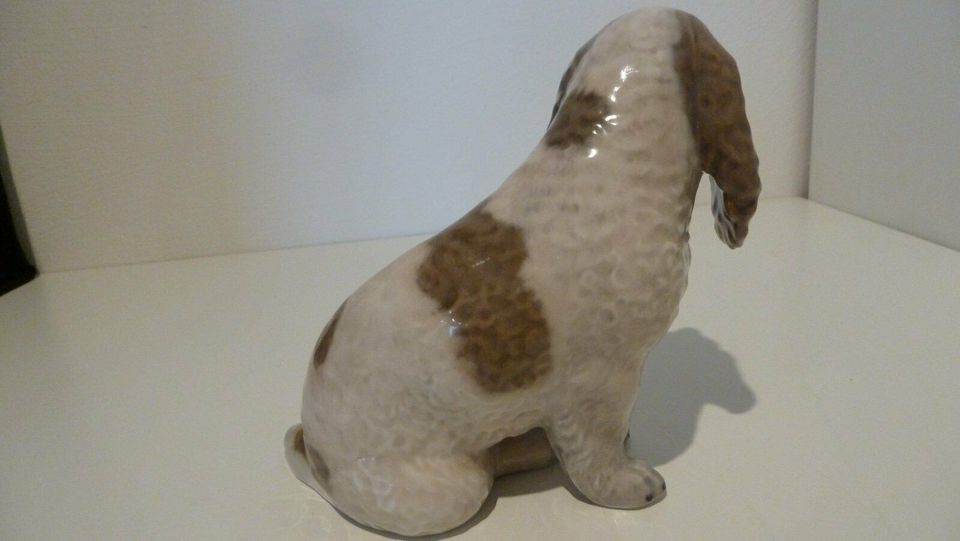 Schöner Porzellan Hund, Royal Kopenhagen Cocker Spaniel in Wangen im Allgäu