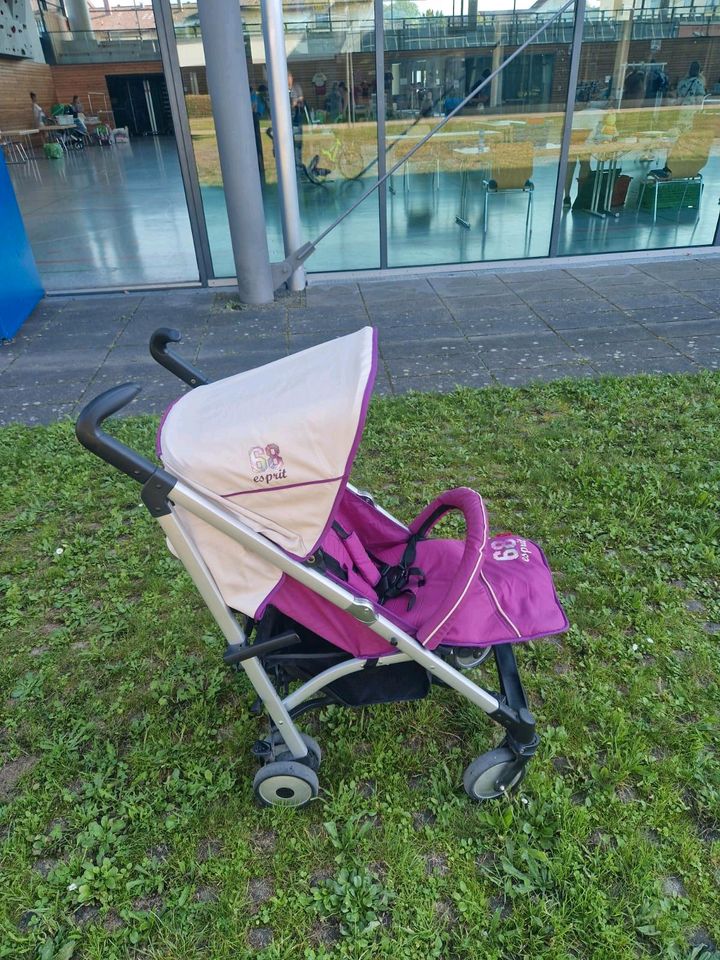 Lila Buggy in Lobbach