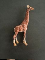 Schleich Giraffe Schleswig-Holstein - Norderstedt Vorschau