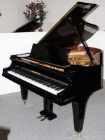 Klavier Flügel Bechstein, 203 cm, schwarz pol. generalrestauriert Niedersachsen - Egestorf Vorschau