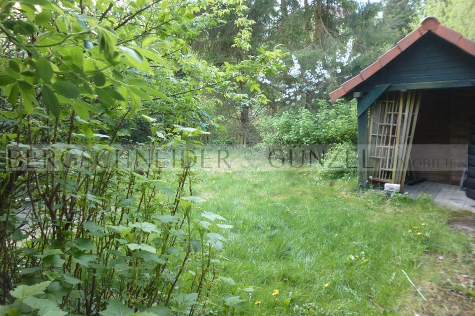 *Vollunterkellerte Doppelhaushälfte mit Carport und Garten in Barntrup-Alverdissen * in Barntrup