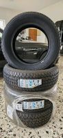 205/60 R16C 100/98T Sommerreifen Hankook Nordrhein-Westfalen - Hückeswagen Vorschau