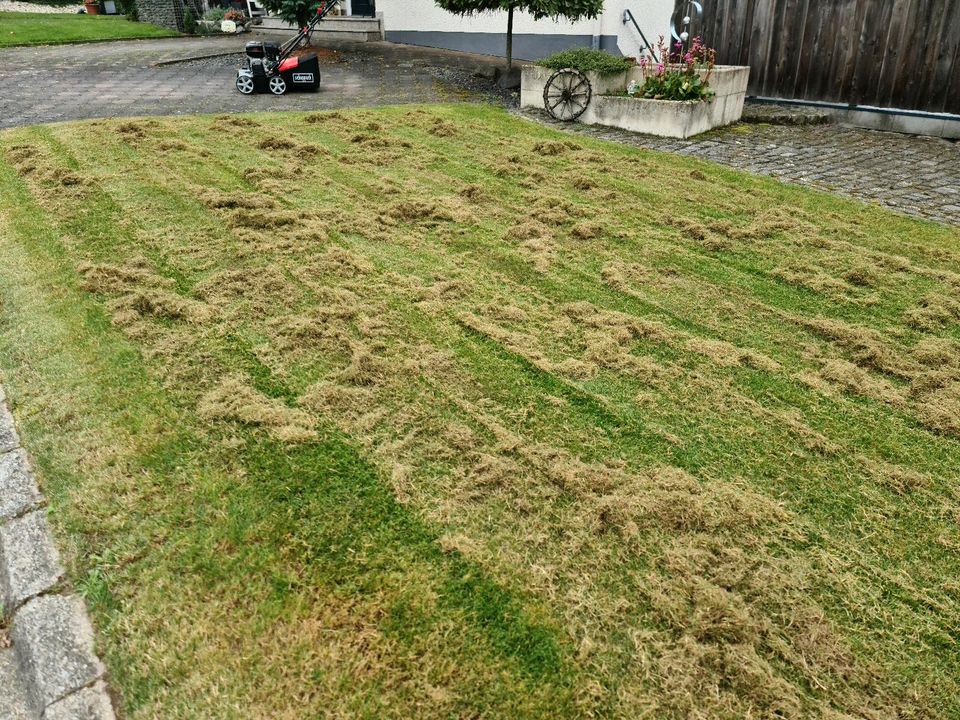 Rasen VERTIKUTIERER / LÜFTER zu vermieten / leihen TOP!!! in Gillenbeuren