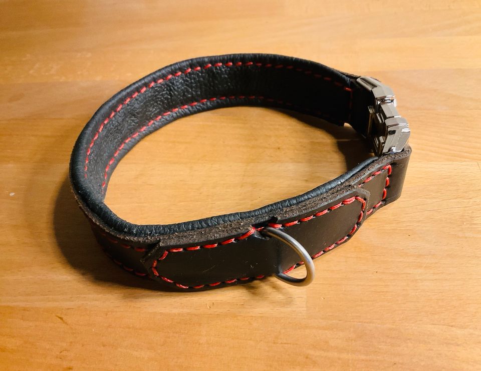 Hundehalsband Leder 42-43 cm Umfang in Graben (Lechfeld)