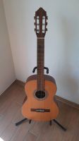 Konzertgitarre PRO ARTE GC-100M II, Gitarre Brandenburg - Michendorf Vorschau