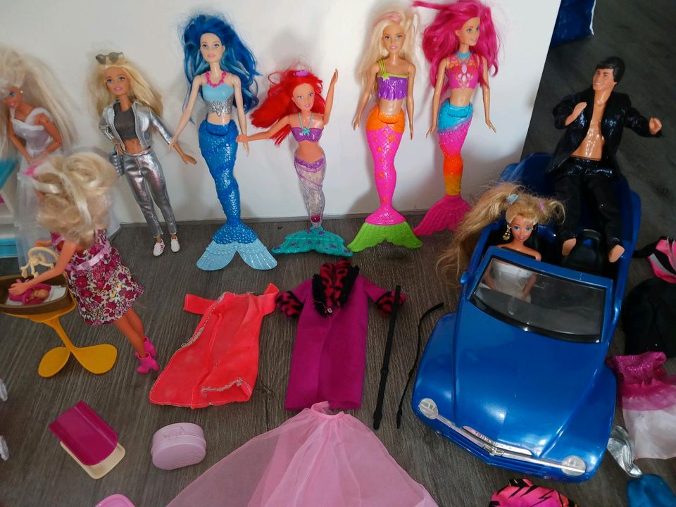 Riesiges Barbie Set, Barbie Puppen, Pferde, Autos, Tiere, uvm in Meschede