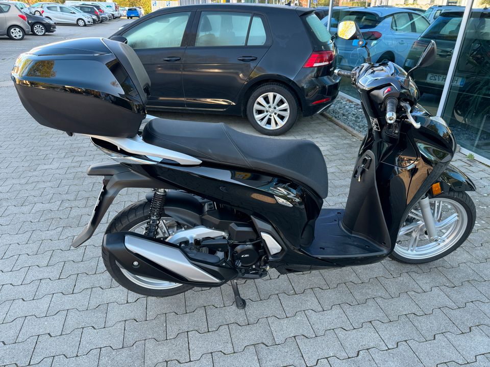 Honda SH350i Scooter Roller in Schwanewede