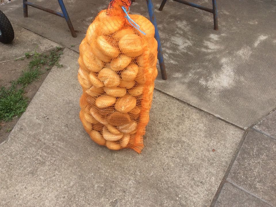 Futterbrot/Brötchen abzugeben! in Berlin