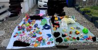 Babyspielzeug xxl Paket alles zusammen für 15 Euro Fischer Price Niedersachsen - Diekholzen Vorschau
