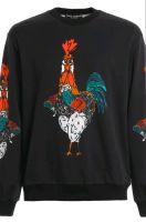 Suche Dolce & Gabbana Rooster Sweater in xl Baden-Württemberg - Hechingen Vorschau