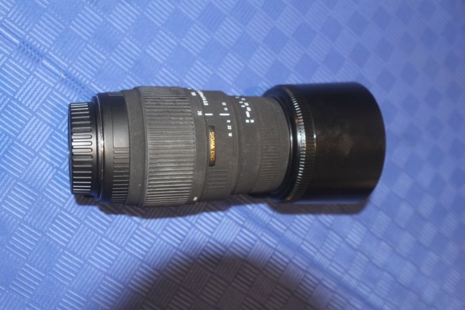 Sigma 70-300mm Telemakro in Schmelz