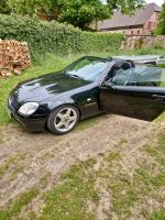 SUCHE Stoßstange vorne mercedes slk 170 obsidianschwarz Nordrhein-Westfalen - Beverungen Vorschau