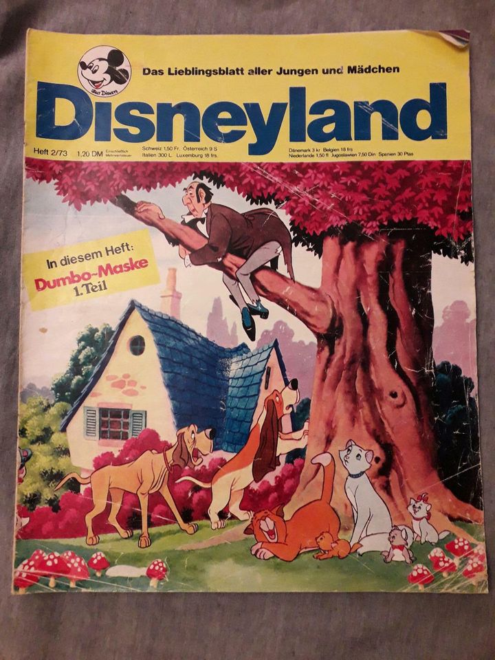 11 Disneyland Comics im Großformat  von 1973 in Bremen