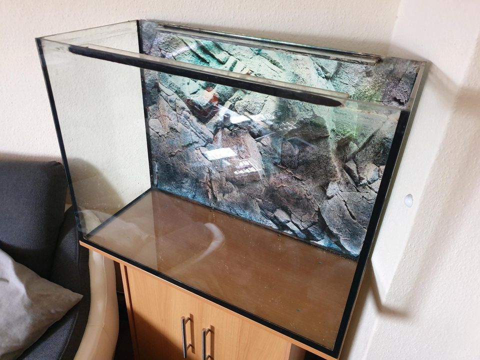 Aquarium 168 l, 60x80x35 cm in Rothenstein