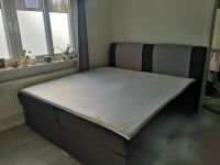 Boxspringbett 180cm x 200 cm grau Bergedorf - Hamburg Lohbrügge Vorschau