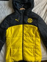 BVB Jacke Puma Trainingsjacke Übergangsjacke schwarz gelb Rheinland-Pfalz - Landau in der Pfalz Vorschau