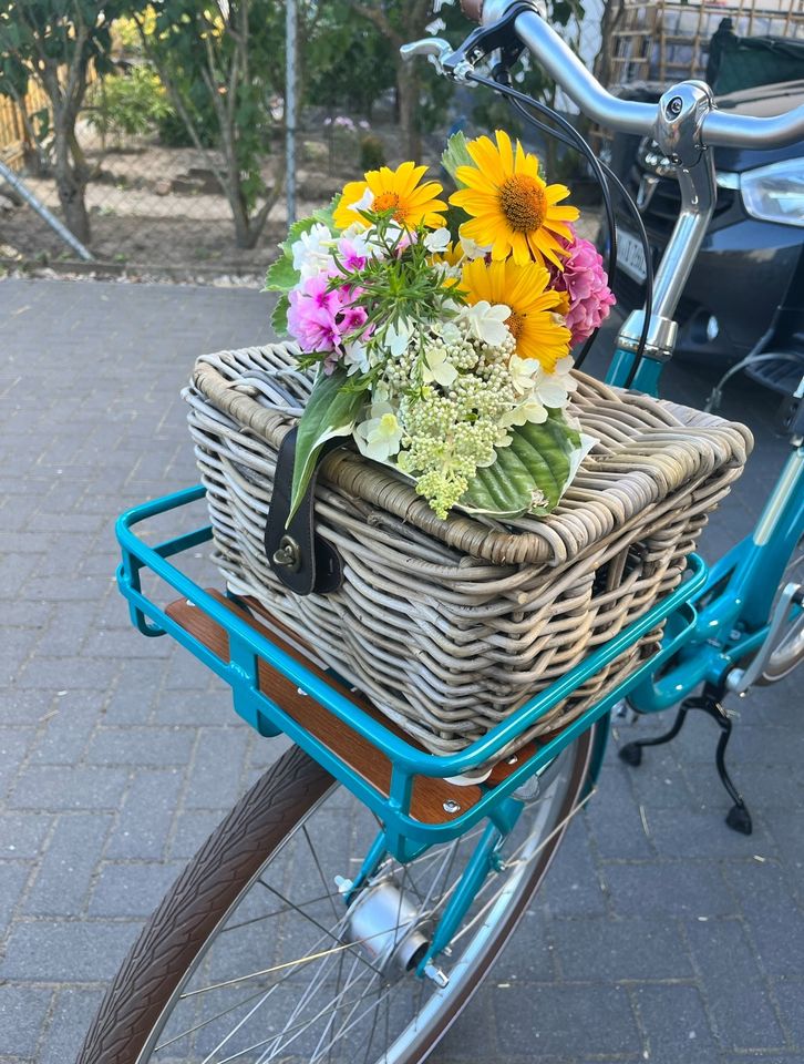 BBF Calais 28 Zoll Damenrad Lastenrad Fahrrad in Löwenberger Land