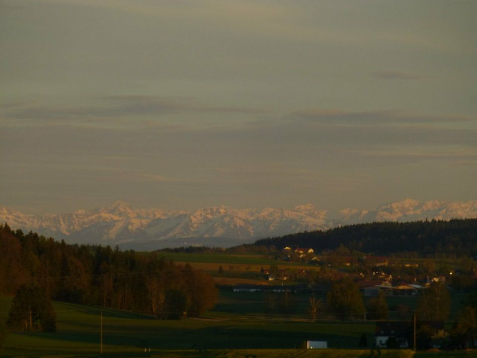 Freizeitgrundstückle - Wäldchen-Krautland in Illmensee