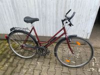 Fahrrad 28 Zoll Nordrhein-Westfalen - Würselen Vorschau