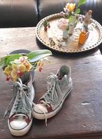 Convers Chuck in 2 Farben Hessen - Bad Homburg Vorschau