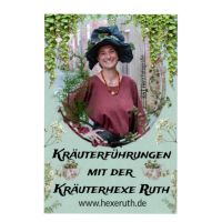 Kräuterführungen / Kräuterwanderungen in Rendsburg 1 Schleswig-Holstein - Rendsburg Vorschau