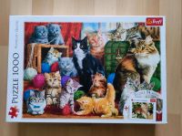 Puzzle Katzen 1000 Teile Bayern - Treuchtlingen Vorschau