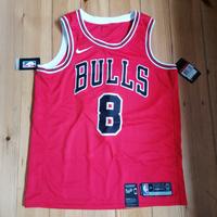NBA Nike Trikot Chicago Bulls Zach Lavine Swingman Berlin - Wilmersdorf Vorschau