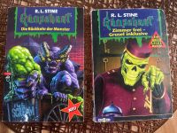 Gänsehaut Buch R.L. Stine Thüringen - Uder Vorschau