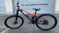 Mondraker Foxy Bayern - Dasing Vorschau